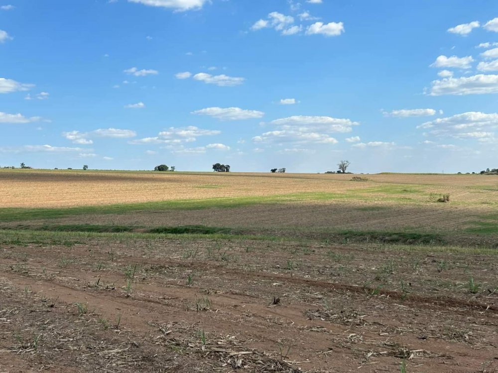 Fazenda - Venda - Vila Nova - Itu - SP